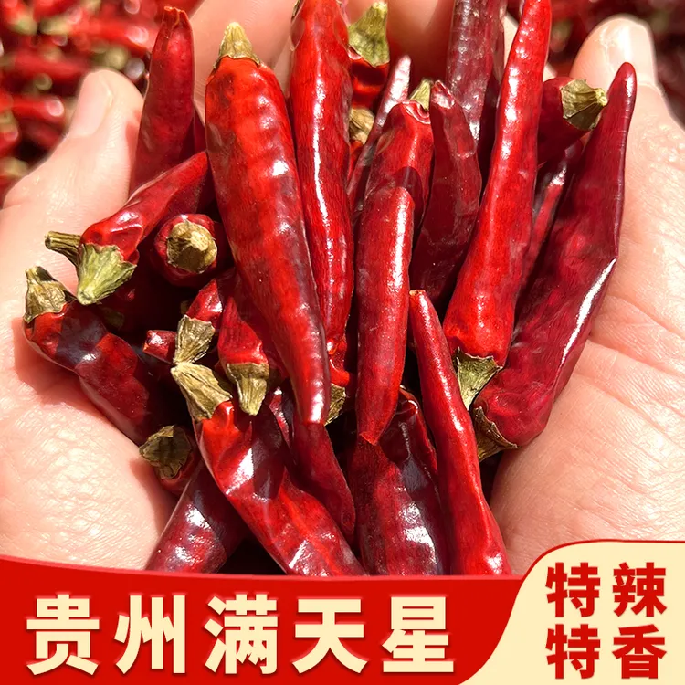 新辣椒贵州手工采摘满天星辣椒遵义美味小米辣香辣七星椒特辣烧菜