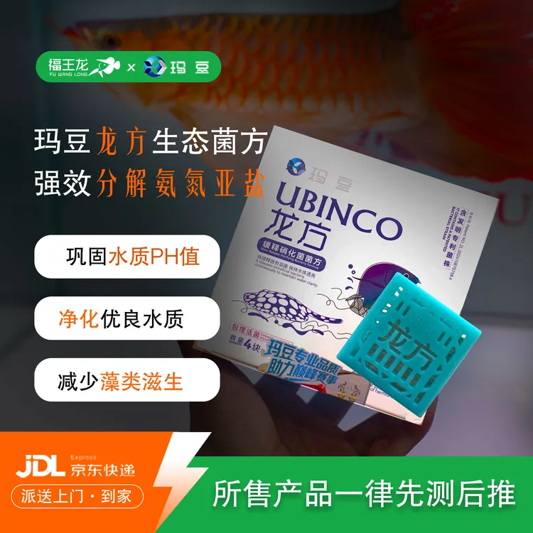 玛豆龙方热带鱼专用硝化细菌生物包埋活菌净水稳分解氨氮亚盐