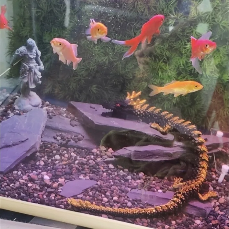 鱼缸水族箱造景装饰龙王造型关节可动神韵逼真