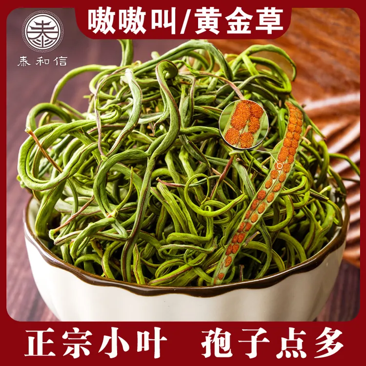 长白山黄金草 东北嗷嗷叫 正宗小叶嗷嗷草石头茶 孢子多 搭配枸杞