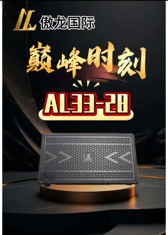AL33-28（裸机价）双八寸大功率专业直播乐器 户外K歌双麦克风音响