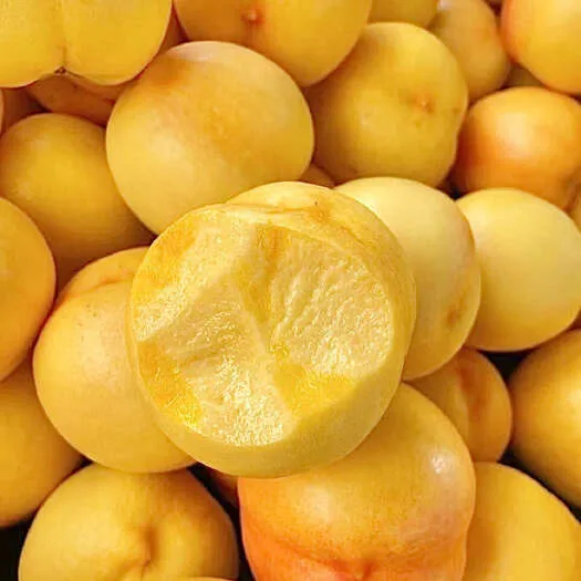 山东蒙阴新鲜应季黄蟠桃香甜多汁自然生长果园直发包邮网红水果
