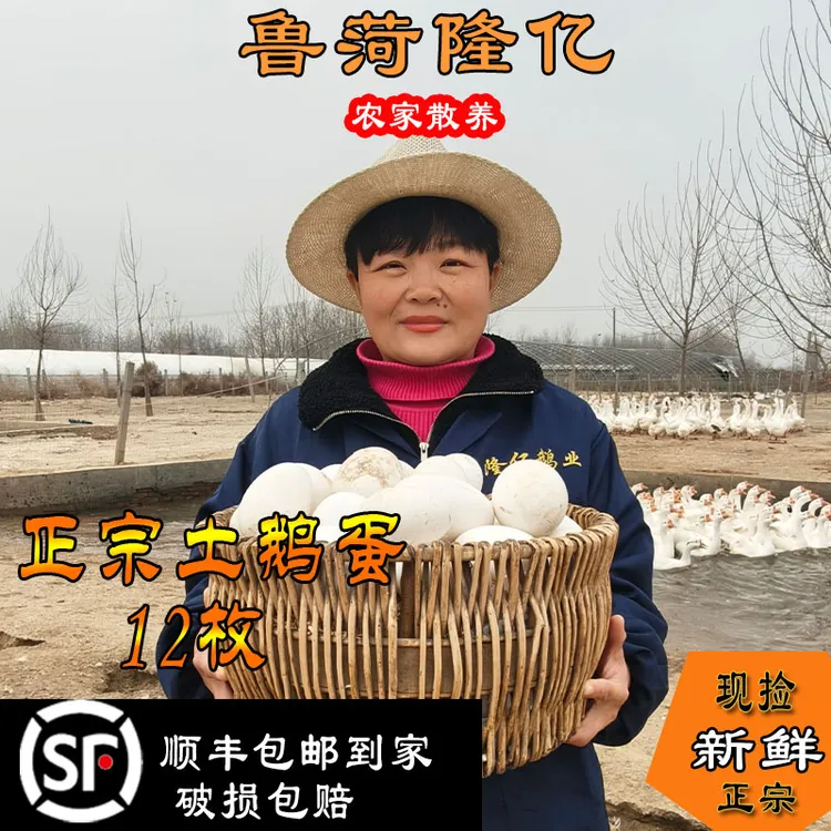 【初产鹅蛋】鹅蛋保真12枚礼盒装2两以下保真现捡现发农家破碎包赔
