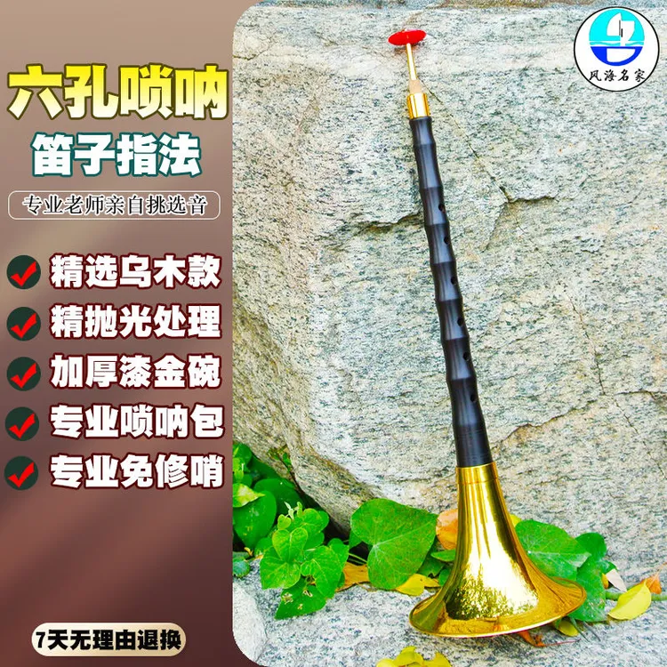6孔唢呐专业级六孔高档唢呐笛子指法降b调全套杆子配加厚碗软木芯