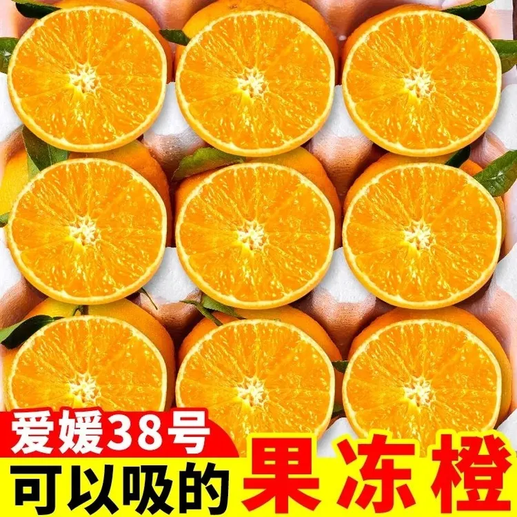 现摘现发新鲜橙子爱媛38号果冻橙新鲜当季皮薄多汁手剥橙子