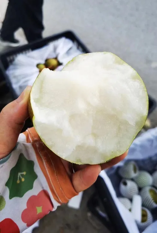 象山翠冠梨脆甜多汁8-12个/箱