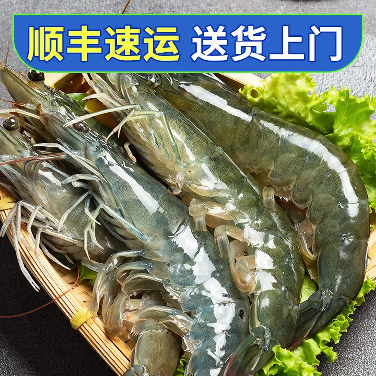 4斤-精选海水大虾冷冻锁鲜发货15只/斤左右 15cm/只左右