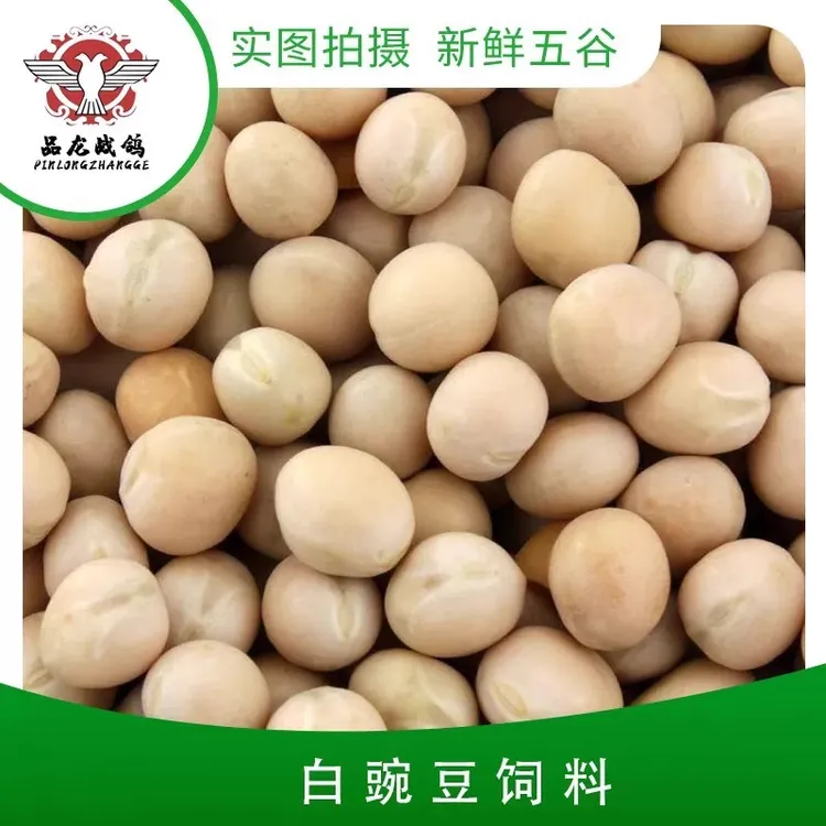 优质白豌豆鸽粮带皮豌豆当季新鲜谷物50斤江浙沪皖包邮送货上楼