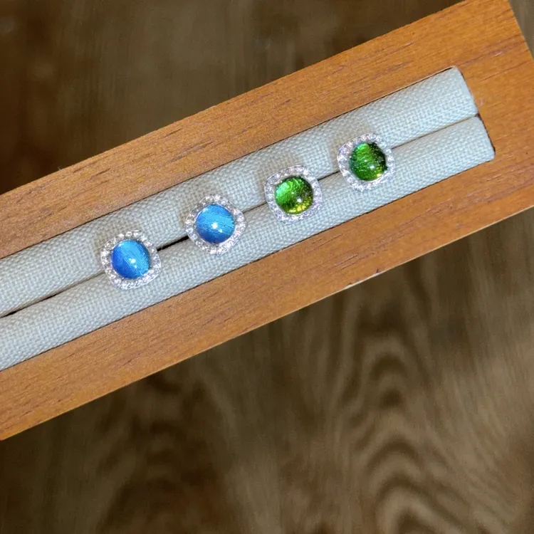 围镶纯银耳钉大蓝甲壳虫标本首饰昱珀工艺百搭精致首饰