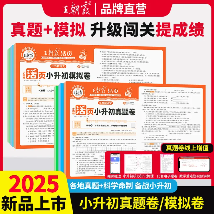 王朝霞活页小升初真题卷模拟卷2025新版小学语数英总复习各地通用
