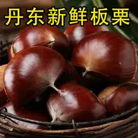 【拍2斤送3斤】新鲜货丹东大板票非野生毛栗蔬菜菜板票难剥皮带栗爪