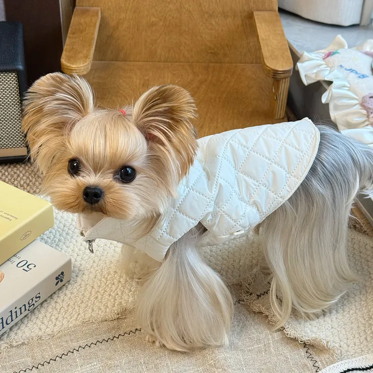 小甜粥宠物服秋冬加棉马甲外套约克夏马尔济斯小型犬狗狗猫咪衣服