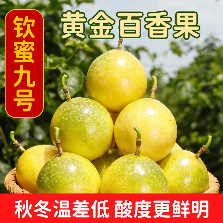 正宗钦蜜9号黄金百香果香甜新鲜现摘皱皮酸甜百香果黄金果tz