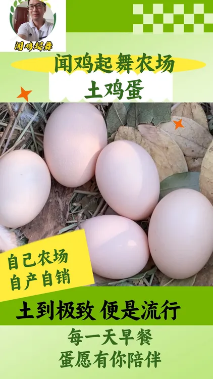 正宗散养新鲜土鸡蛋柴鸡蛋农家散养山林纯五谷喂养适合孕妇和学生