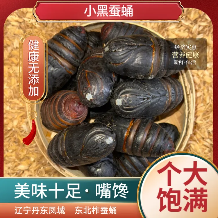 【小黑蛹】2025年新蛹新鲜小黑鲜活蚕蛹东北特产多拍多优惠
