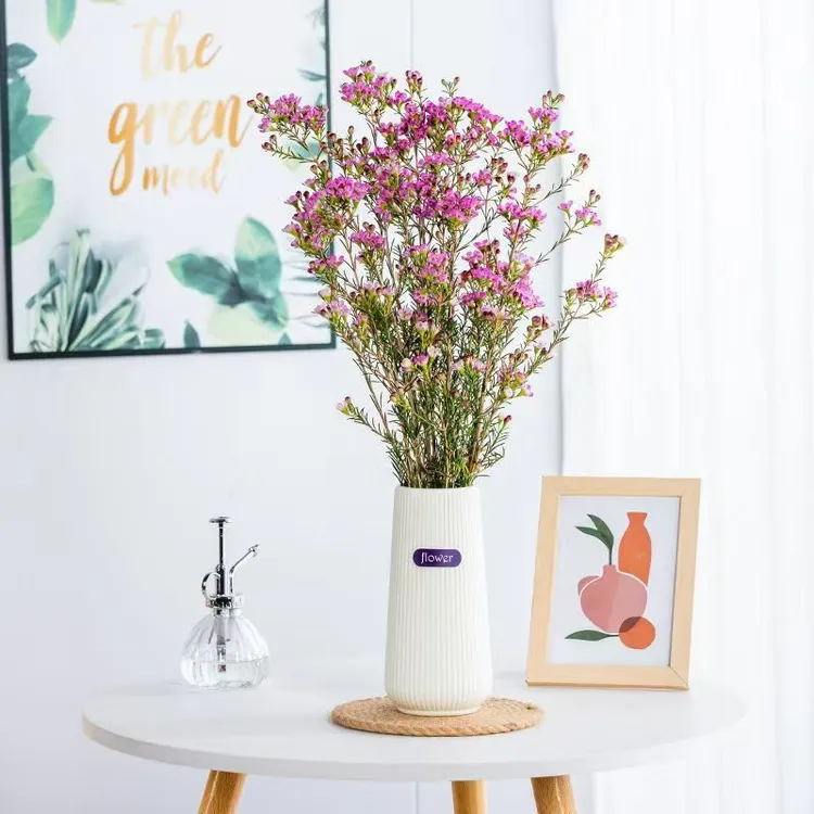 鲜切澳洲腊梅花卉年宵花云南基地直发