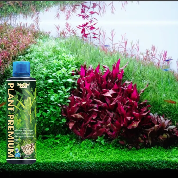 台湾爱族水草液肥