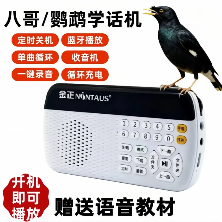 鸟用八哥虎皮小太阳鹦鹉学话训练器鸟叫声播放学舌鹦鹉说话训练器