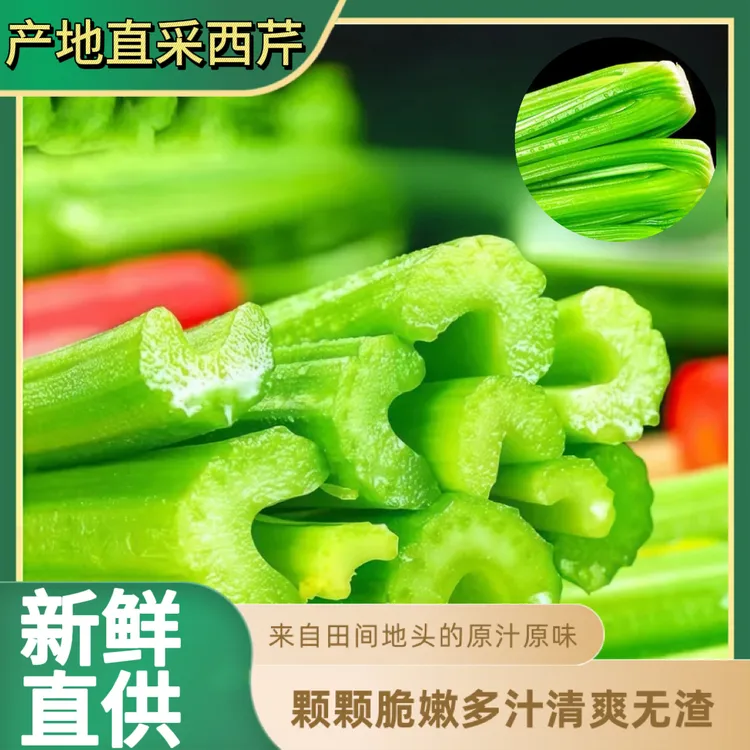 （顺丰包邮）新鲜水果西芹大棵芹菜脆嫩多汁蔬菜榨汁专用山东寿光