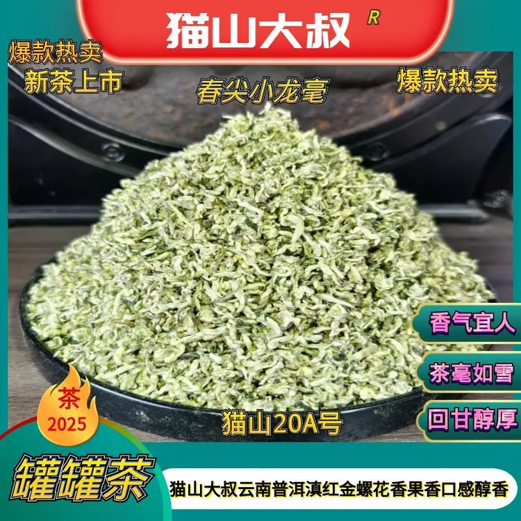 【陇上专属猫山20A号】2025新茶云南春尖小龙毫单芽西北甘肃罐罐茶