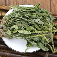【叶主任推荐】河南高含量 车前草（已开价）