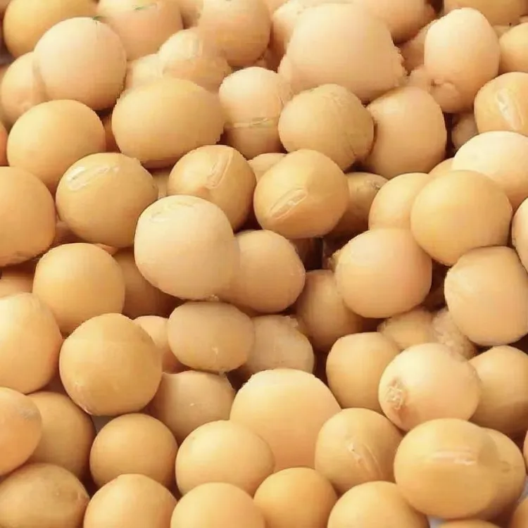 沂蒙山自家黄豆无任何添加