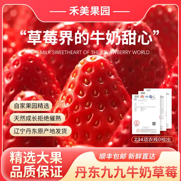 逢喜季丹东九九草莓红颜东港产地直发顺丰空运丹东99牛奶大草莓