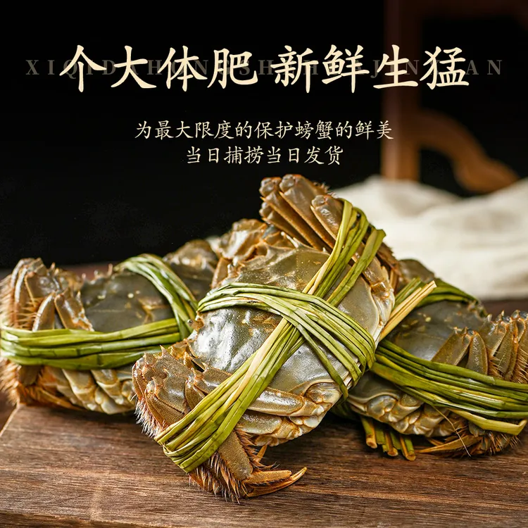 活蟹 公蟹4-3.7两母蟹3-2.7两 4对8只可选顺丰冷链鲜达