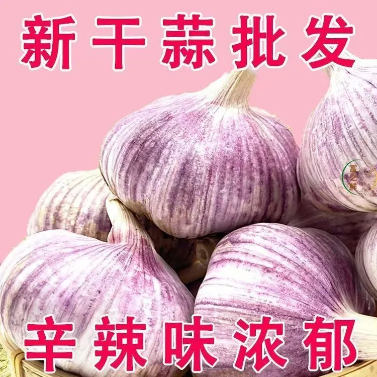 【新蒜】山东2025新大蒜头干蒜正宗紫白皮大蒜新鲜大蒜头