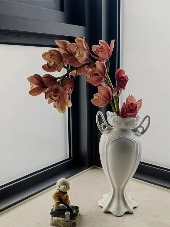 大花惠兰 人间富贵花 年宵花 优雅高贵云南鲜花冷链包邮