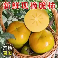 S新鲜巧克力脆柿子水果当季净重4.5斤