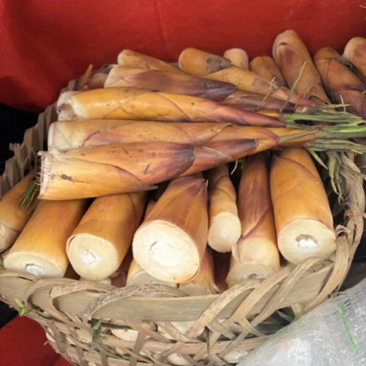 2025四川夹江土特产迎江苦笋新鲜苦笋