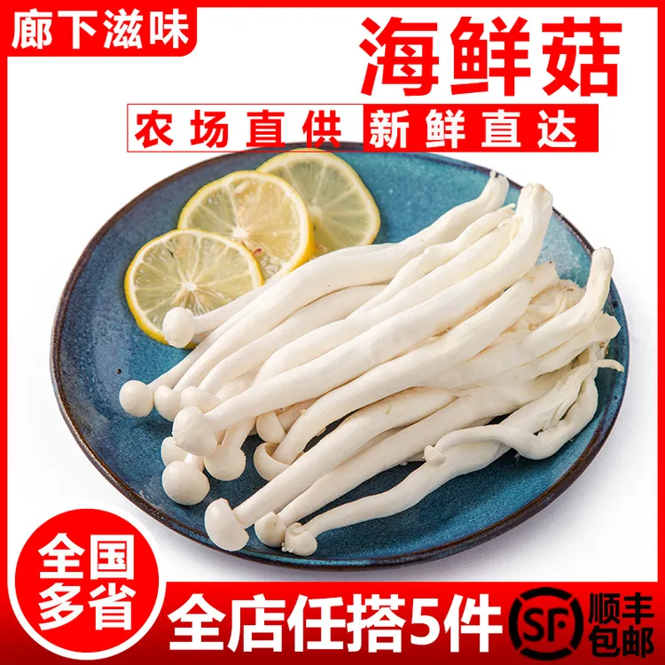 廊下滋味海鲜菇鲜嫩菌菇 火锅烧烤炒菜百搭 新鲜蔬菜 现摘先发