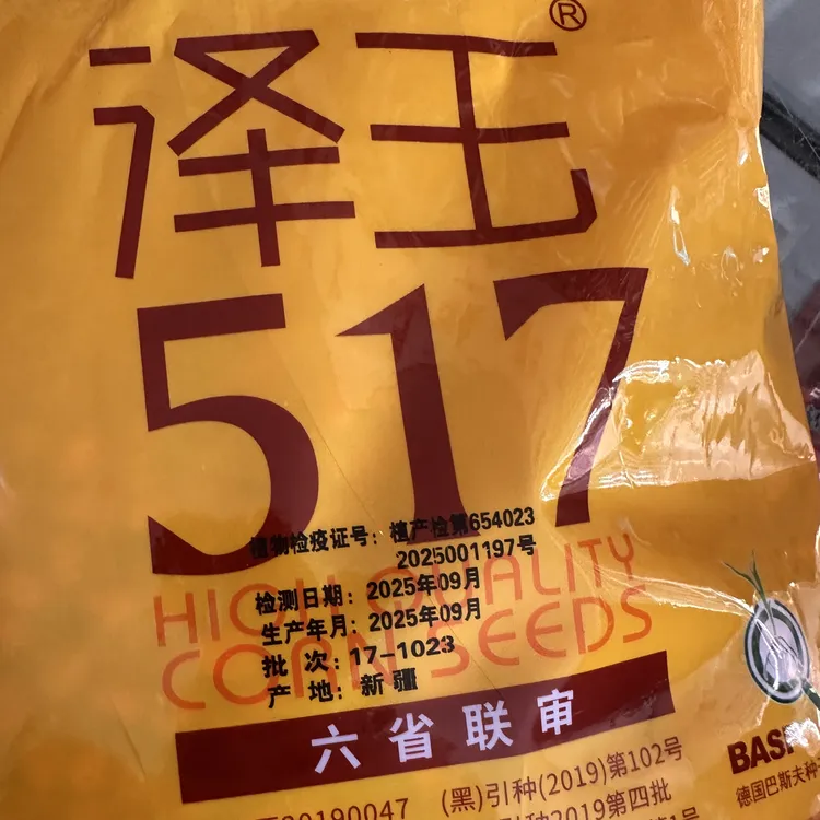 紫杆大棒角质粮泽玉517