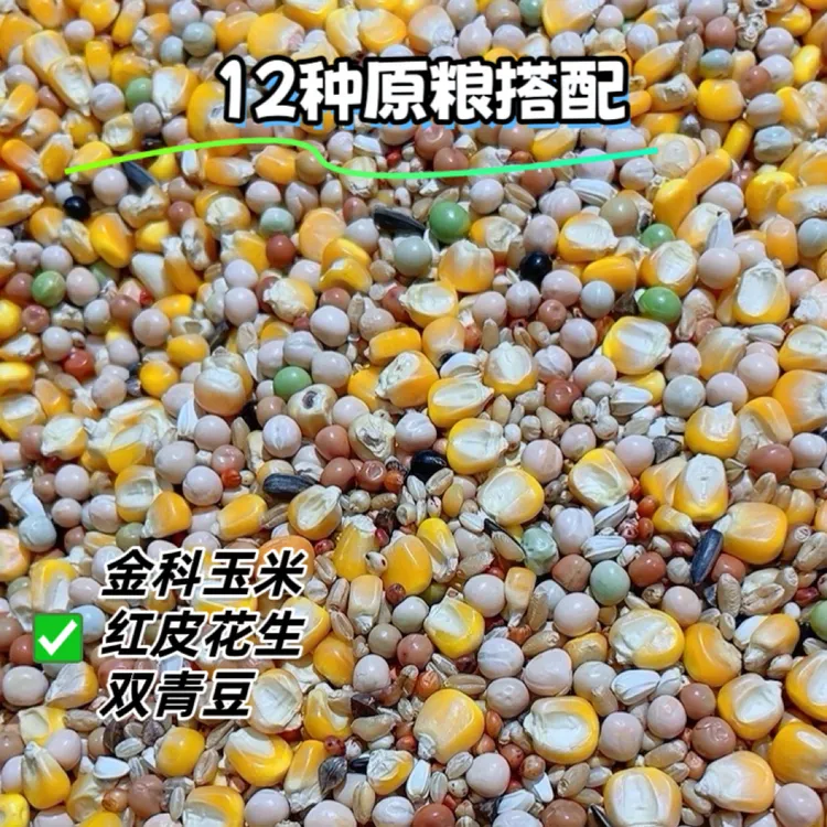 种鸽营养鸽粮48斤玉米信鸽种鸽肉鸽鸽粮斑鸠鸟食