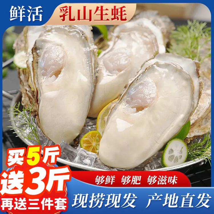 【买5斤送3斤】正宗乳山生蚝原产地新鲜蒸特大生蚝烤生蚝精品海蛎子