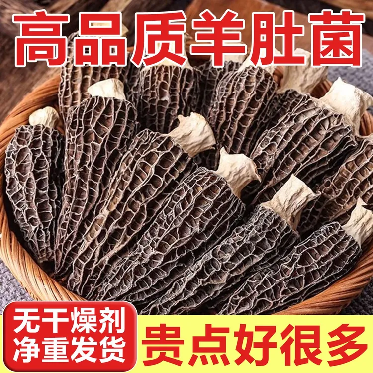 云南高山新货头茬厚肉羊肚菌干货肉厚饱满香味足营养滋补牛肚菌