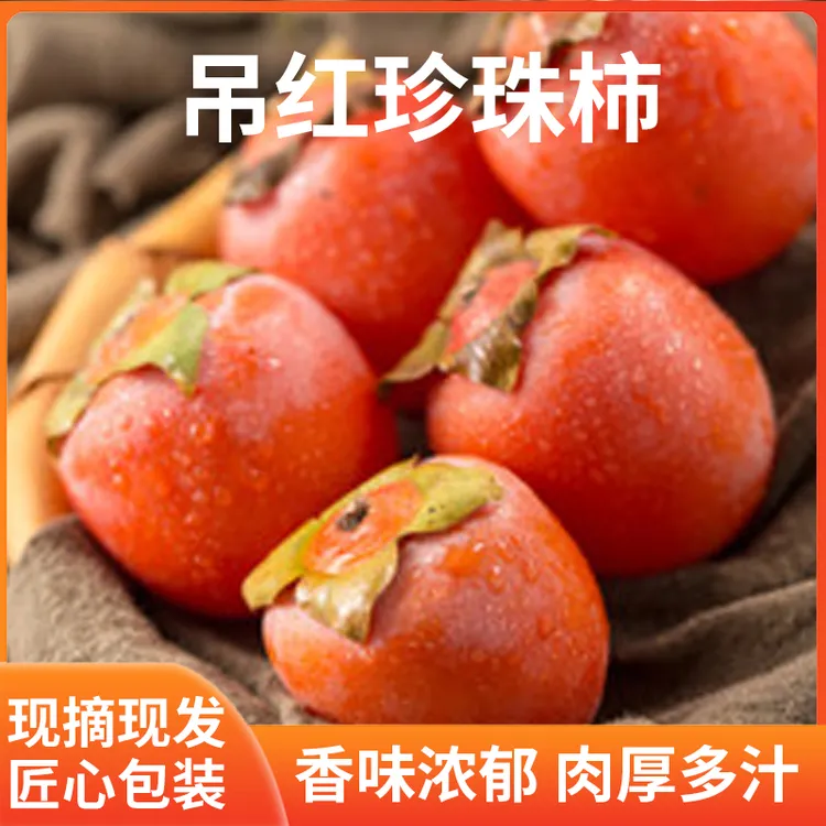 放软吃中条山下吊红虞柿红季节水果珍珠柿水果鲜果