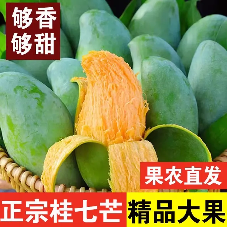 广西百色桂七芒果当季新鲜田东桂七芒大果整箱热带水果现摘