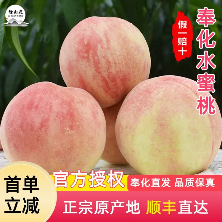 绿山农正宗奉化水蜜桃新鲜水果当季现摘宁波软桃玉露5斤【家庭装】