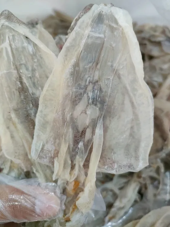 广东汕尾本港船鱿（原船原晒）小个约32~35个鲜美肉嫩