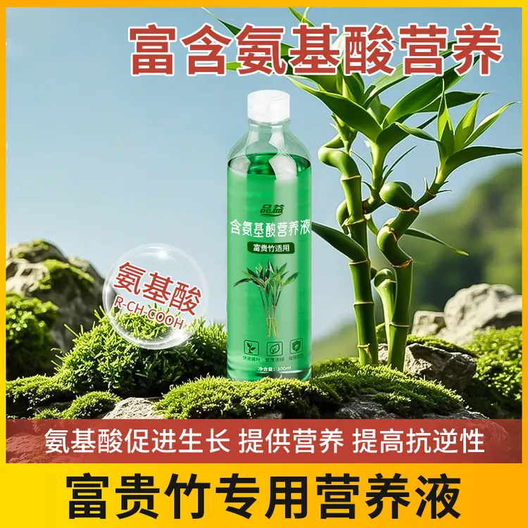 富贵竹专用营养液水培治叶子发黄观音竹转运竹绿植盆栽通用型肥料