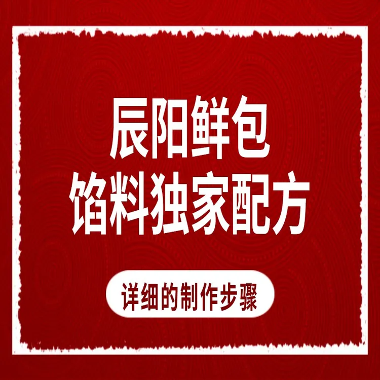 辰阳鲜包5肉6素馅料独家配方
