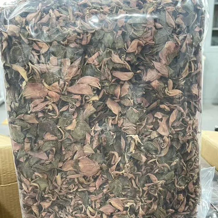 佛冈时时好运金线莲500克整株干品土培种植