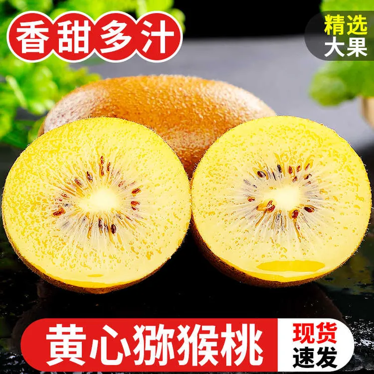 黄心猕猴桃奇异果现摘即食弥猴桃应当季新鲜水果孕妇整箱包邮花花
