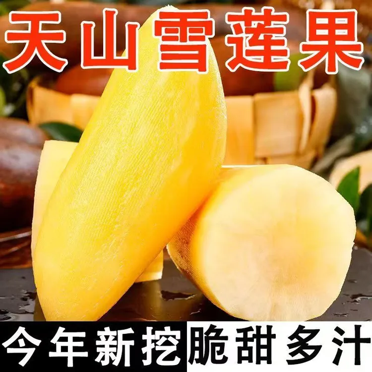 正宗云南黄心现挖头茬天山雪莲果新鲜脆甜多汁高山云南特色水果