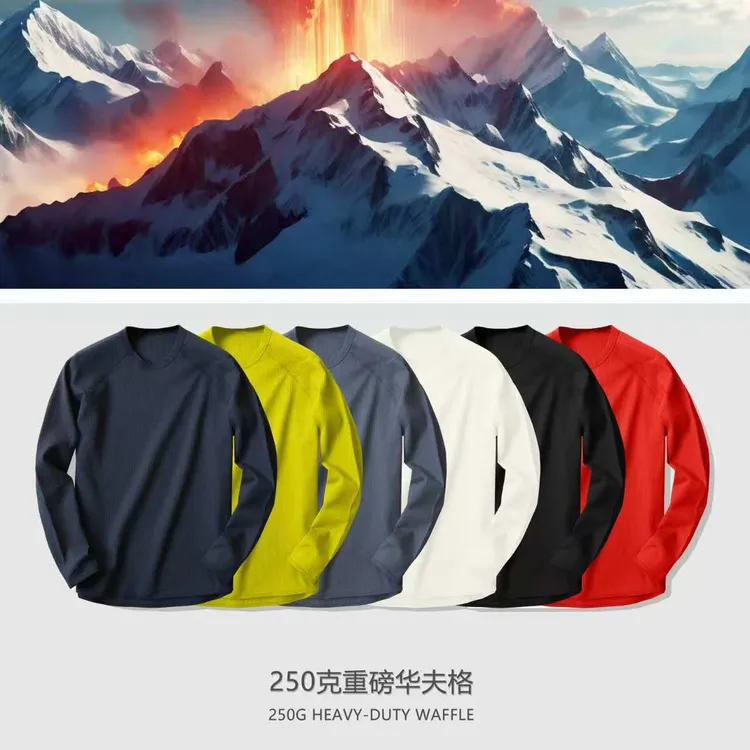 华夫格系列！秋季休闲针织经典百搭纯色长袖T恤打底衫2560