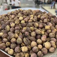 野生砂仁 正品西双版纳深山砂仁