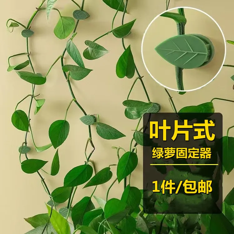 绿萝固定器绿植爬墙用器墙面绿箩固定挂壁卡扣爬藤吸盘攀藤勾夹扣