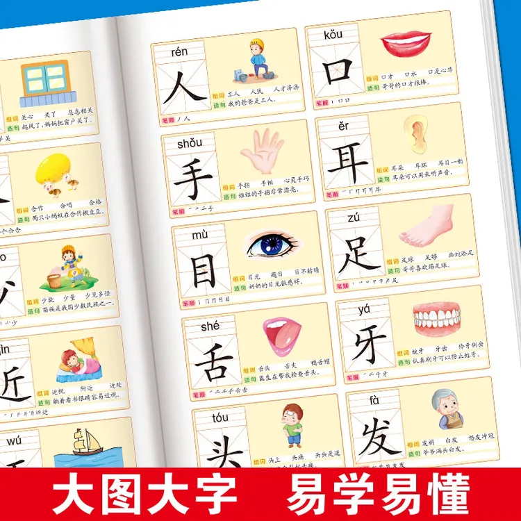 识字大王3000字幼儿认字幼儿园小中大班学前班幼小衔接早教启蒙书